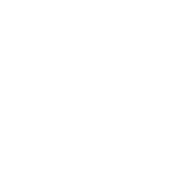 Global Healing 极速赛车 